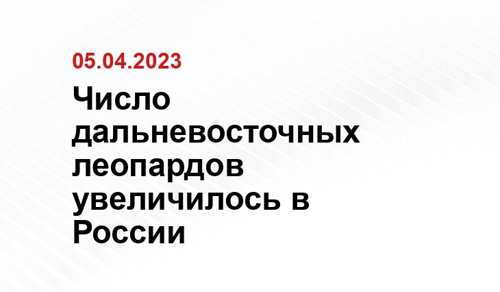 https://leopard-land.ru/