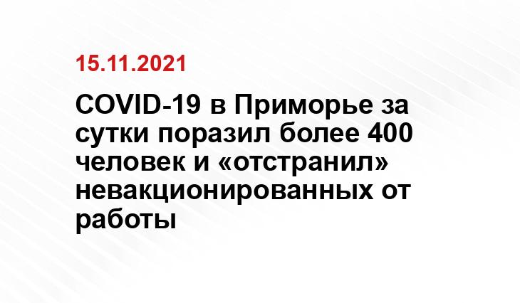 Роман Павловский, Правительство Приморского края 