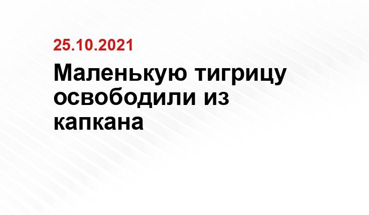 http://amur-tiger.ru/