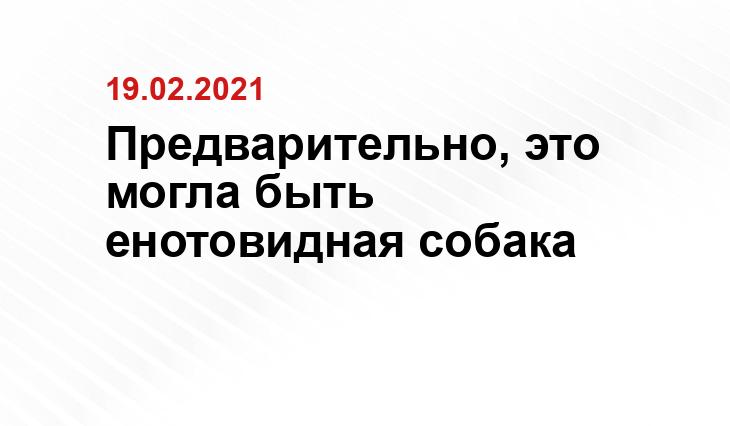 ria.ru