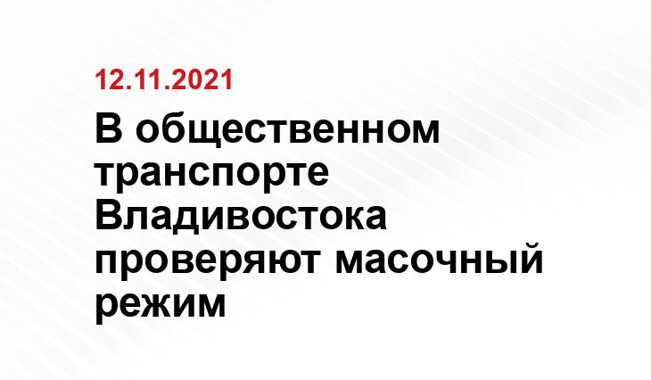 Диана Шарафулисламова, Правительство Приморского края