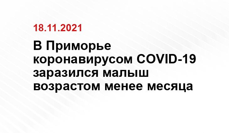 Игорь Новиков, Правительство Приморского края