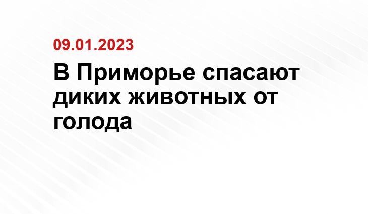 https://leopard-land.ru/