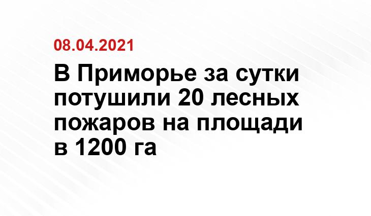https://aviales.1mcg.ru/