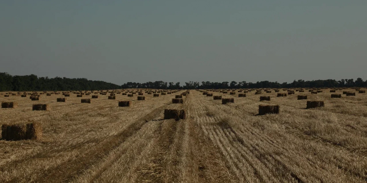 Ущерб тайфуна приморским аграриям составил почти 1,6 миллиарда рублей редакции