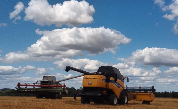 Ставропольские аграрии собрали уже более 3 млн тонн зерна