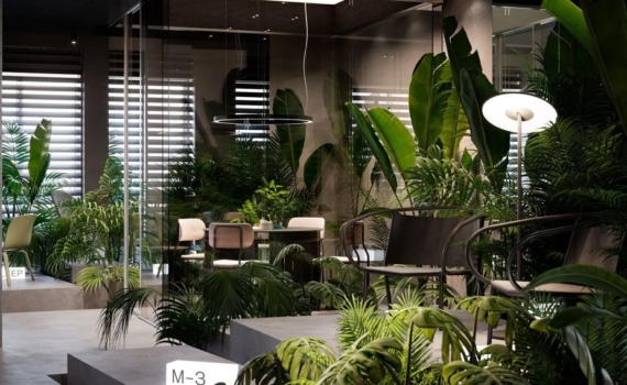 Зимний сон на подоконнике: маленькие тайны жизни ваших комнатных растений — не мешайте им отдыхать Зимний сон на подоконнике: маленькие тайны жизни ваших комнатных растений — не мешайте им отдыхать