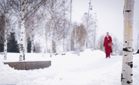 Зимние тренды 2025-2026: от роскоши к осознанности — как носить шубы и палантины Зимние тренды 2025-2026: от роскоши к осознанности — как носить шубы и палантины