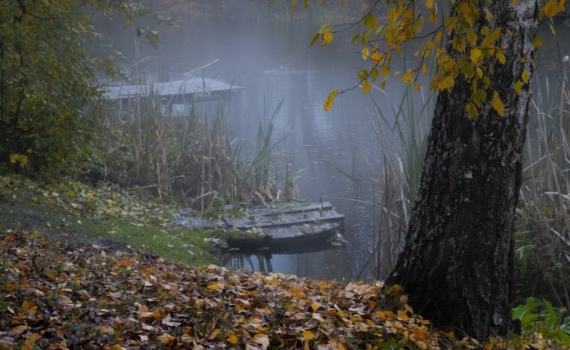 Лунный календарь 20 ноября 2025: что можно и нельзя — день глубокого погружения под знаком Скорпиона Лунный календарь 20 ноября 2025: что можно и нельзя — день глубокого погружения под знаком Скорпиона