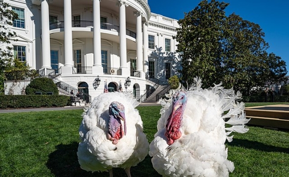 Ясинский: Такер Карлсон заигрывает с расистскими идеями Ясинский: Такер Карлсон заигрывает с расистскими идеями