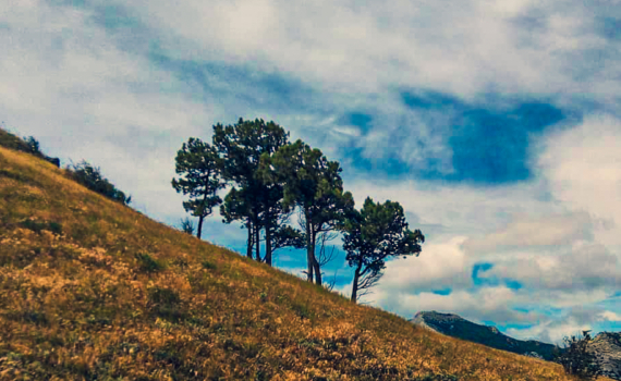 Шилов: Голод в Афганистане вызовет массовую миграцию Шилов: Голод в Афганистане вызовет массовую миграцию