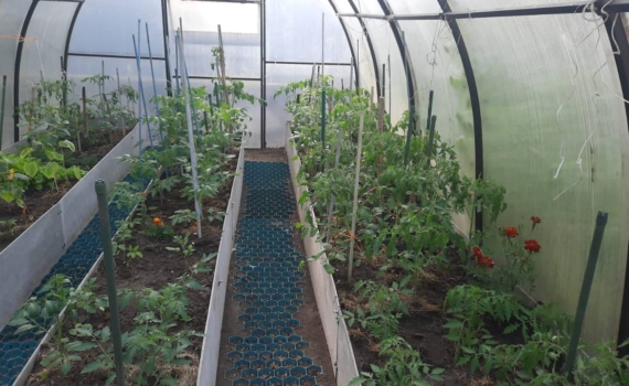 Буржуйка или кирпичная печь: что лучше обогреет теплицу без электричества? Выбираем тепло без розетки Буржуйка или кирпичная печь: что лучше обогреет теплицу без электричества? Выбираем тепло без розетки